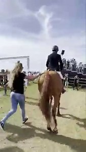 80K views · 3.4K reactions | Magnifique victoire du Français Nicolas Delmotte, en selle sur Urvoso du Roch dans le Grand Prix 5* du Masters de Chantilly ! Dernière répétition réussie avant de s’envoler aux JO de Tokyo 朗✈️ | Studforlife.com | Facebook