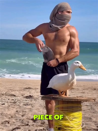 Catching Sharks from the Beach with a Drone