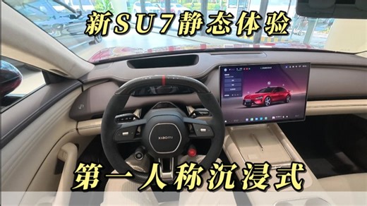 沉浸式第一人称体验新SU7，就是这缝怎么这么大？