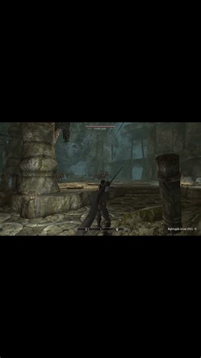 that's a big spider 👀 #skyrim #dragonborn #adventuregame #gaming #shrots