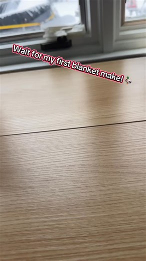 Alex Taylor | Custom crochet plushies on Instagram: "Here it is! In all its finished glory! My first baby blanket that I crocheted! I did the mallard duck style! 🦆 Pattern is by @themapleknotcrochet #crochettok #acrylicyarn #blanketcrocheting #mosaiccrochet #duckblanket"