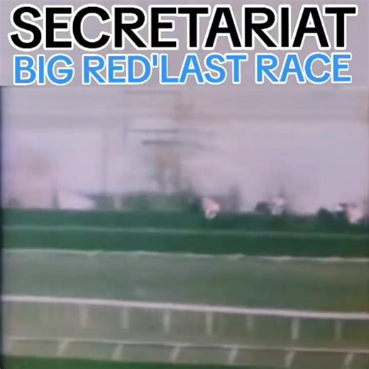 109K views · 4K reactions | Secretariat Big Red Last Race 1973. | Secretariats lagacg | Facebook