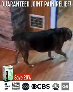 345K views · 2.8K reactions | Give your dog the gift of mobility! Extend Joint Care for Dogs is clinically-proven to reduce pain and boost movement. Vet formulated, backed by science & rated A+ BBB. Get yours today. | Extend Pets | Facebook