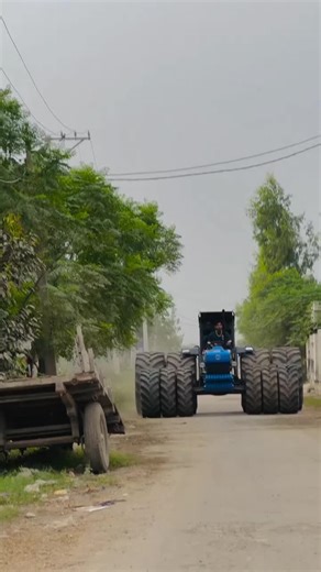 #🌾پنڈاں_آلے 🌱 #pindaaly_7561 #foryoupag #pindawaly #پنڈاں_والے