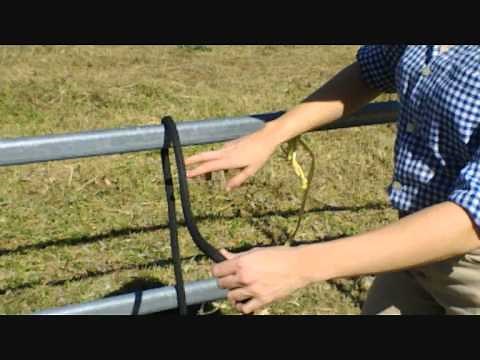 How To Tie A Quick Release Knot - Local Horse Magazine