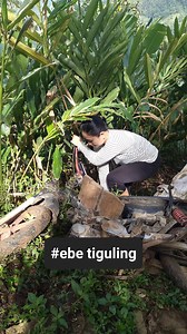 Kumaha mun ebe viral tiguling.😭 #reel #ebe #vidio #viral | Ebe Real
