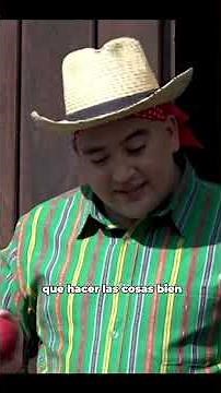 Etapas de la vida.