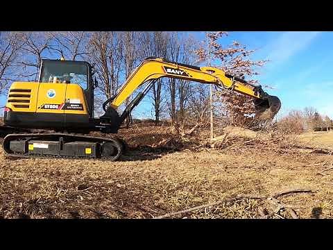 Knocking Down Trees with My New Sany SY60c
