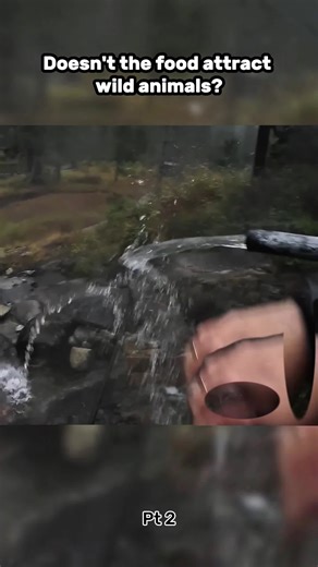 Attracting Wild Animals with Food: Camping Tips