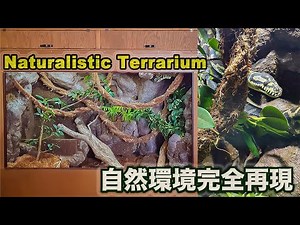 【DIY】ヘビの生息地を完全再現したらスゴ過ぎた How to make a naturalistic Carpet python enclosure
