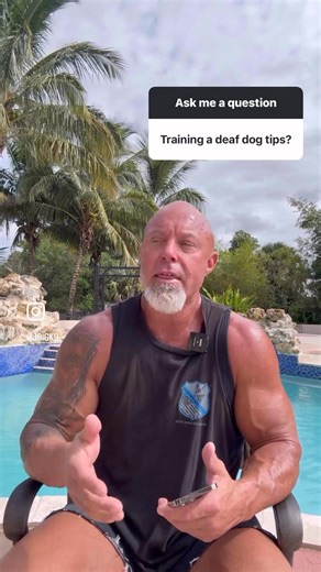 Deaf dog training | K-9 Services Unlimited LLC