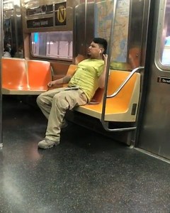 38K views · 99 reactions | 落The things you'll see on the New York City subway 落 Credit: Instagram @subwaycreatures | Heavy Consequence | Facebook