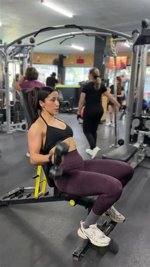 Recline bench hammer biceps curls alternating