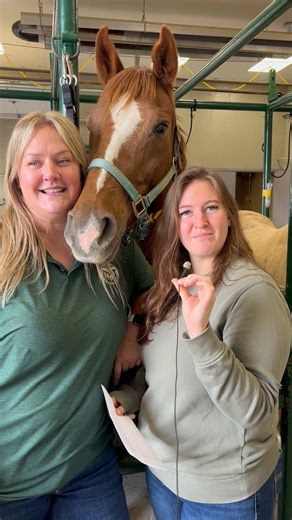 2.5K views · 60 reactions | Mini Mic Monday  Brittany Palmer, Mare Manager  | Colorado State University Equine Reproduction Center and Laboratory | Facebook