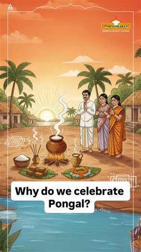 Why Is Pongal Celebrated? Pongal is a four-day harvest festival celebrated across Tamil Nadu, marking the joy of a successful harvest and the spirit of togetherness. The word Pongal means “to boil over,” a beautiful symbol of abundance, prosperity, and overflowing blessings. On this day, fresh rice, milk, and jaggery are cooked together and offered to Surya, the Sun God, as a mark of respect and gratitude. The festival honours the land, the rain, the cattle, and the tools that make life and harv