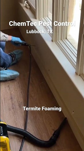 Foaming a wall to kill termites. #lubbock #termites #pestcontrol #termidor