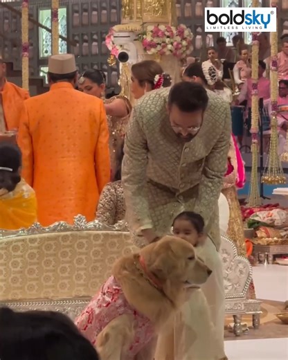 637K views · 10K reactions | Anant Radhika Wedding: Pet Dog Steals...