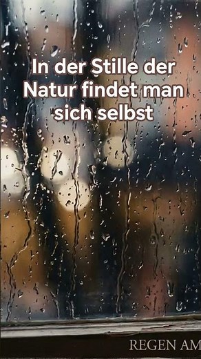 Regen am Fenster & Sanfte Klaviermusik 🌧️ Entspannung im Wald | Piano Stille #entspannung #rain