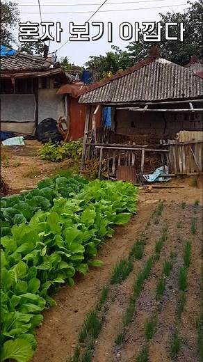 양지은(박우철) 노래모음 - 연모 - 혼자보기 아깝다 -7080언제벌써