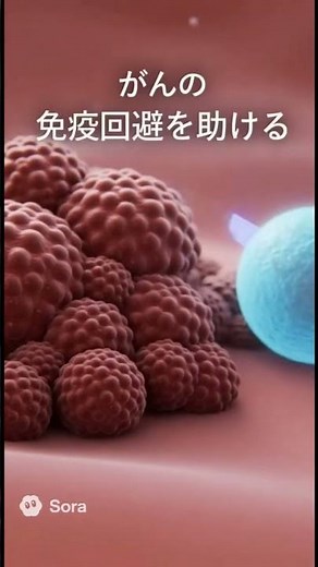 制御性T細胞 癌との関わり