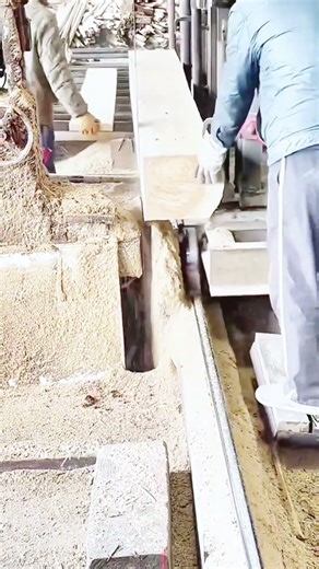 Massive Timber Log Sliced with Heavy Sawmill