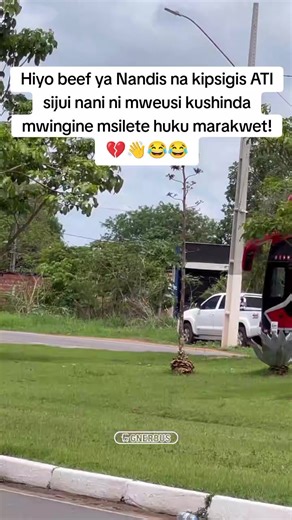 Understanding the Conflict between Nandi and Kipsigis