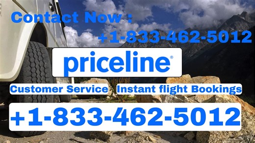 Priceline® Customer Service Complete Guide ➢ Step-by-Step Help & Support 24/7 Priceline