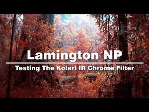 Infrared Photography With The Kolari IR Chrome Filter | Exploring Lamington National Park (Part 1/3)