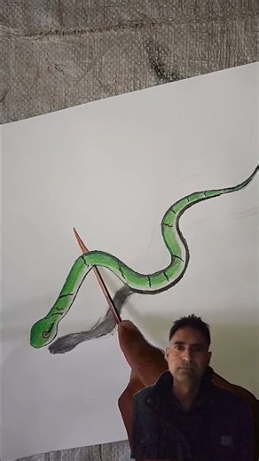 how to draw a realistic snake and | 3D sanke | #youtube #shortviral #shortvideo #ytshorts