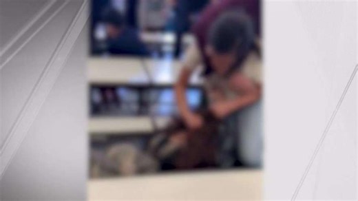 Video Shows Teen Beatdown In Queens School Cafeteria