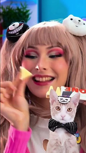 🍫😻 The Ultimate Chocolate Showdown! 😻🍫