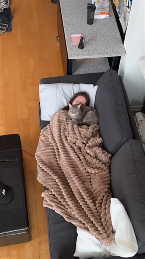 Midday nap for momma and Lila #catcuddles #foryou #vancouver #sleeping #nap