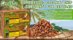 ZeeDix 6Pack Compressed Coconut Chips Brick Natural Coconut Husk for Reptiles Bedding Brown Coco Coir Chips Terrarium Substrate for Ball Python Frog Snake Gecko Hermit Crab Tortoise