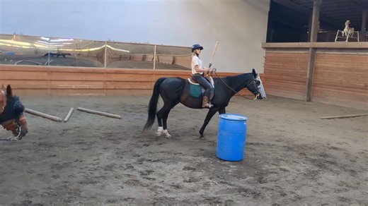 Lesson today with Armani and Janelle! | Parish the Horse Teacher - Confidence and Connection