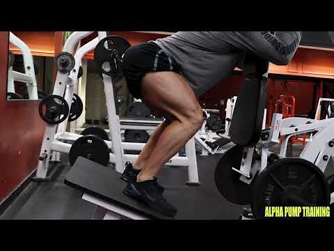 Hamstring Isolation V Squats Hack Squats