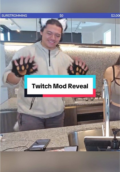 Twitch Mod Reveal: Meet Dinah's Mustache Buddy