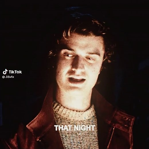 Steve Harrington and Dustin Moments in Stranger Things