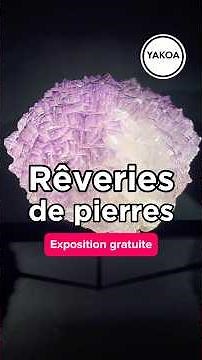 Exhibition "Reveries of Stone: Poetry and Minerals by Roger Caillois" School of Jewelry Arts