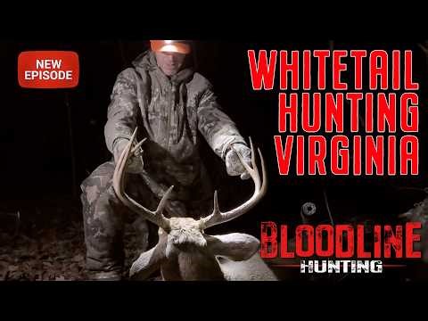 Virginia Whitetail Hunt at Primland Resort