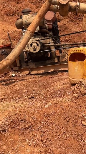 PYTHON (@python05263)’s videos with original sound - Shatta Wale Nima