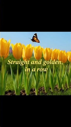 Tulips Grow #kids #school #poem #song