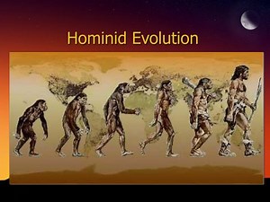 Hominid Evolution - SlideServe