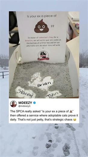 SPCA Asks Is Your Ex Piece Of Poop Writes Names On Litter Boxes 💩 #SPCA #ValentinesDayRevenge