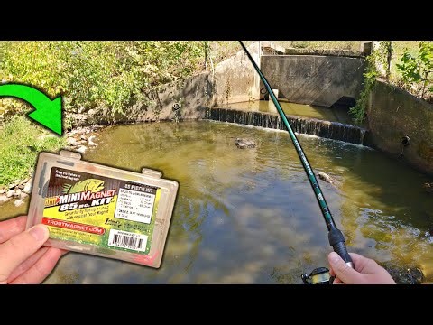 Mini Magnet Multispecies Fishing Challenge