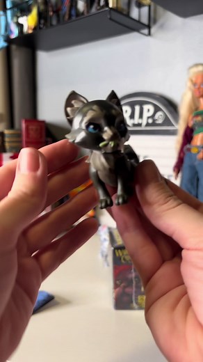 Cinderpelt: Unboxing Warrior Cats Collectibles