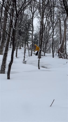 “Why waste time say lot word when few word do trick?” -Kevin Malone Real words escape us on days like today. Thanks for getting out there with us 💥 Snow kept coming all day long and into the night. Freshies reload tomorrow. | Burke Mountain