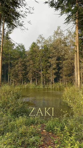 Extraordinary3D | Enchanted Forest Vibes ✨ Welcome to the digital escape you've been looking for. This moment of pure tranquility, brought to life in 3D, is... | Instagram