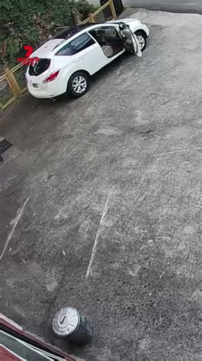 Bear opens car door before owner chases it away