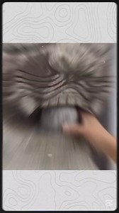 Interesting Facts in Hindi . . . . #foryoupageシforyou #hindifacts #factdad #facts #amazingfacts #amazingfact #realfacts #interestingfacts #fact #unknownfacts | Fact DAD