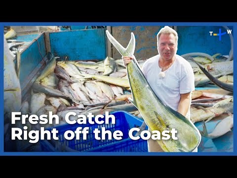 The Amazing Details of Fixed Net Fishing in Northern Taiwan | Ep.58 | Happy Fisherman